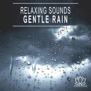 Relaxing Sounds: Gentle Rain - Meditation Zen Master