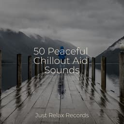 50 Peaceful Chillout Aid Sounds - Nature Sound Collection
