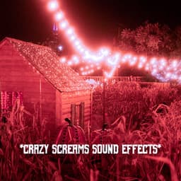 * Crazy Screams Sound Effects * - The Haunted House of Horror Sound Effects