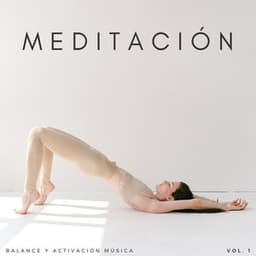 Meditación: Balance Y Activación Música Vol. 1 - Curación manifiesta de energía en órbita de 741 Hz