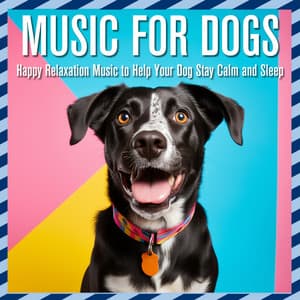 Music for Dogs: Happy Relaxation Music to Help Your Dog Stay Calm and Sleep - Relaxmydog