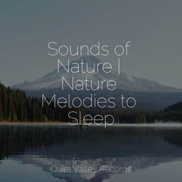 Sounds of Nature | Nature Melodies to Sleep - Winds and Oceans
