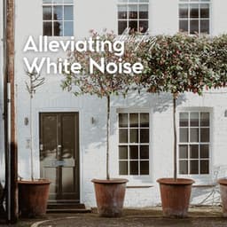 Alleviating White Noise - Loopable White Noise