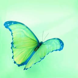 Casual Music for Connected Images - Jazz-hop - Lo-fi Hip Hop Beats