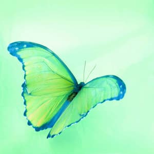 Casual Music for Connected Images - Jazz-hop - Lo-fi Hip Hop Beats