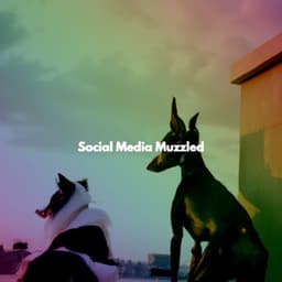 Social Media Muzzled - Atmospheric Coffee House Music
