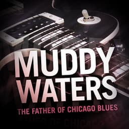 Muddy Waters - The Father of Chicago Blues - Muddy Waters