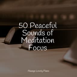 50 Peaceful Sounds of Meditation Focus - Los Pianos Barrocos