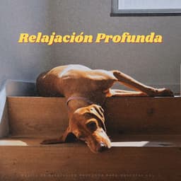 Música De Relajación Profunda Para Mascotas Vol. 1 - PAZ