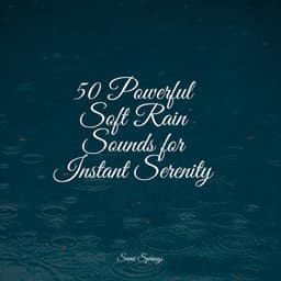 50 Powerful Soft Rain Sounds for Instant Serenity - Relaxing Nature Ambience