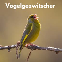 Beruhigendes Vogelgezwitscher - Berlin Rain