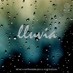 Música Con Sonidos de la Naturaleza: Lluvia - Reiki Armonía