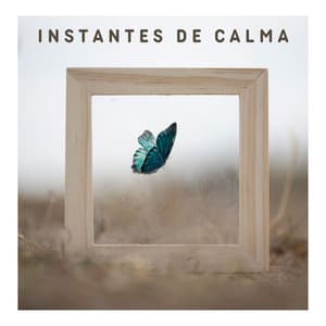 Instantes de Calma: Canciones Armoniosas para Disfrutar de un Descanso Tranquilizador - Alma Divina