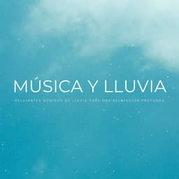 Música Y Lluvia: Relajantes Sonidos De Lluvia Para Una Relajación Profunda - Sonido Del Bosque y Naturaleza