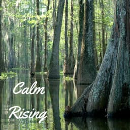 Calm Rising - Thunder Storm