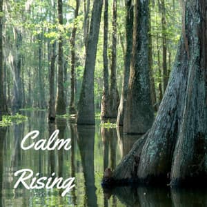 Calm Rising - Thunder Storm