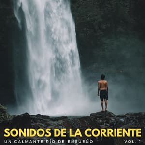 Sonidos De La Corriente: Un Calmante Río De Ensueño Vol. 1 - Cascada ruido blanco