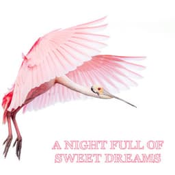 A Night Full of Sweet Dreams - Baby Sleep Music