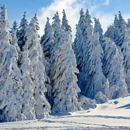 Christmas Eve Chill Sessions: 50 Relaxing Tracks for a Stress-Free Family Time - Lounge relax