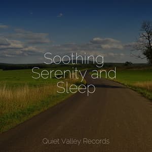 Soothing Serenity and Sleep - Active Baby Music Workshop