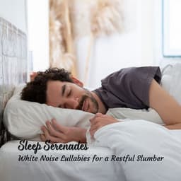 Sleep Serenades: White Noise Lullabies for a Restful Slumber - Deep Sleep White Noise