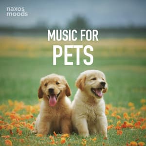 Music for Pets - Ferruccio Busoni