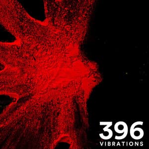 396 Hz VIBRATIONS - The Solfeggio Experience
