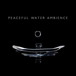 Peaceful Water Ambience: Piano Music and 8D Water Sounds - Thinking Music World