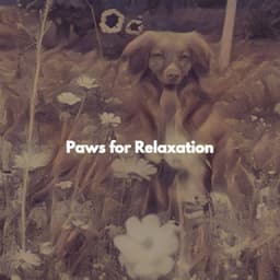 Paws for Relaxation - Sunday Morning Music