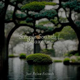 Simple Sounds | Relaxation - Música relaxante