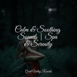 Calm & Soothing Sounds | Spa & Serenity - Deep Focus