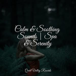 Calm & Soothing Sounds | Spa & Serenity - Deep Focus