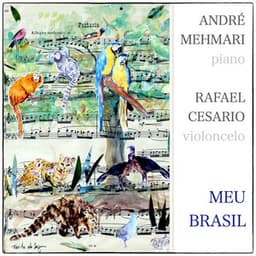 Meu Brasil - André Mehmari