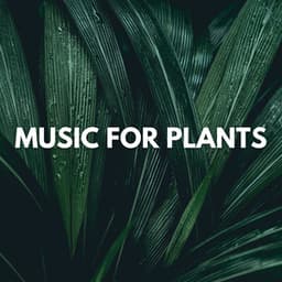 Music for Plants - Plant Love