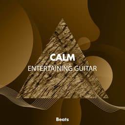 Calm Entertaining Guitar Beats - Relaxing Acoustic Guitar