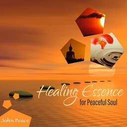 Healing Essence for Peaceful Soul - John Peace