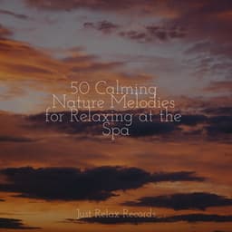50 Calming Nature Melodies for Relaxing at the Spa - CANCIONES DE CUNA