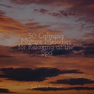 50 Calming Nature Melodies for Relaxing at the Spa - CANCIONES DE CUNA