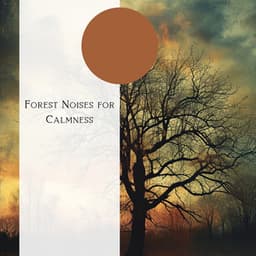 Forest Noises for Calmness - Natural Forest FX