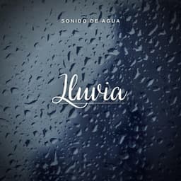 Sonido de Agua: Lluvia - Lluvia PQ