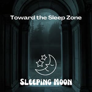 Toward the Sleep Zone - Sleeping Moon