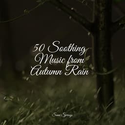 50 Soothing Music from Autumn Rain - Ambient Nature White Noise