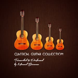 Classical Guitar Collection: Transcribed & Performed by Manuel Barrueco - Manuel Barrueco