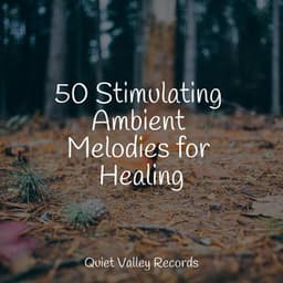 50 Stimulating Ambient Melodies for Healing - Happy Baby Lullaby Collection
