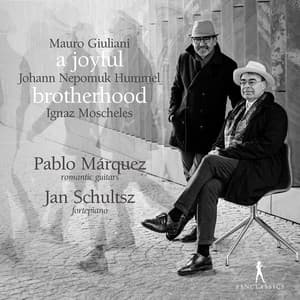 A Joyful Brotherhood - Mauro Giuliani