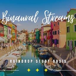 Meditative Raindrop Study: Binaural Learning Harmony - Meditation Music therapy