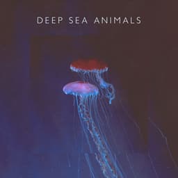 Deep Sea Animals - May Padma