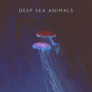 Deep Sea Animals - May Padma