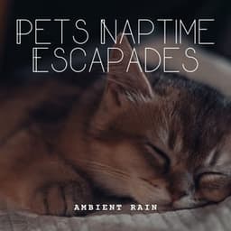 Ambient Rain: Pets Naptime Escapades - Sleep