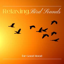 Relaxing Bird Sounds for Good Mood - Bird Sounds